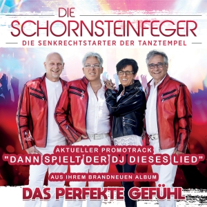 Die Schornsteinfeger - Dann spielt der DJ dieses Lied Die Schornsteinfeger - Dann spielt der DJ dieses Lied