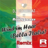 Wind im Haar (Bella Italia) - DJ Herzbeat x Die Rodensteiner