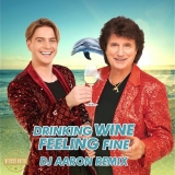 Drinking Wine Feeling Fine (DJ Aaron Remix) - Vincent Gross & Olaf, der Flipper
